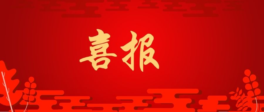 金信诺2024业绩：扭亏为盈